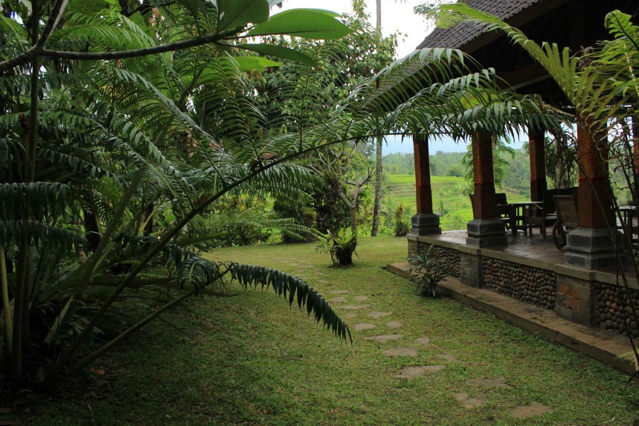 Saridevi Ecolodge Jatiluwih Exterior foto
